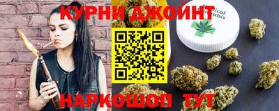 молекула духа Будённовск