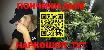 молекула духа Будённовск