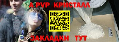 молекула духа Будённовск