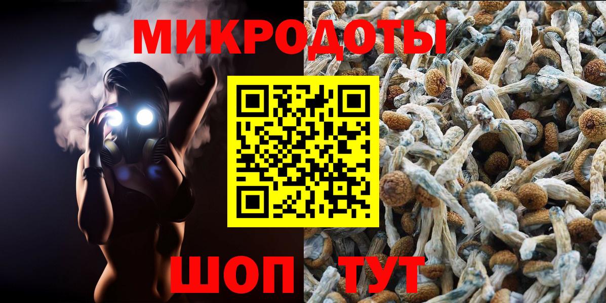 Галлюциногенные грибы мухоморы Тимашёвск
