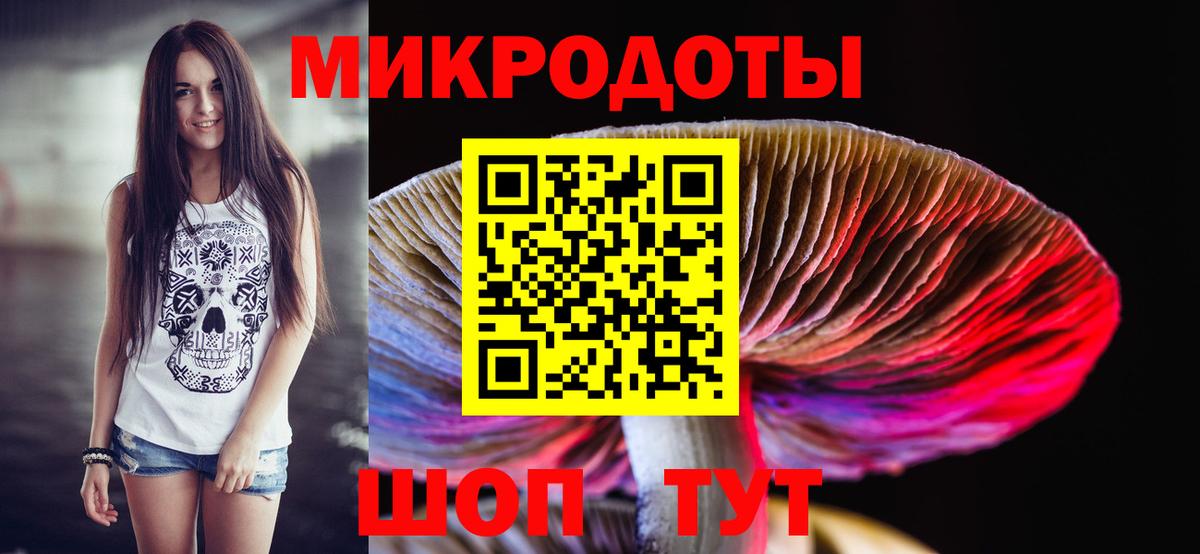 Галлюциногенные грибы Cubensis  Вход с VPN  Тимашёвск 